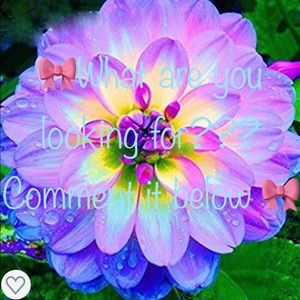 🎀What are you looking for? I can help! 🎀